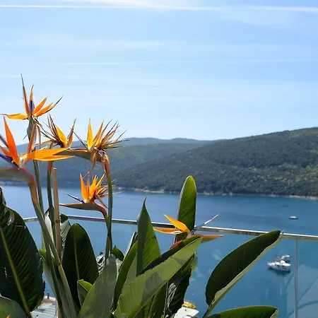 Palma Apartment Rabac